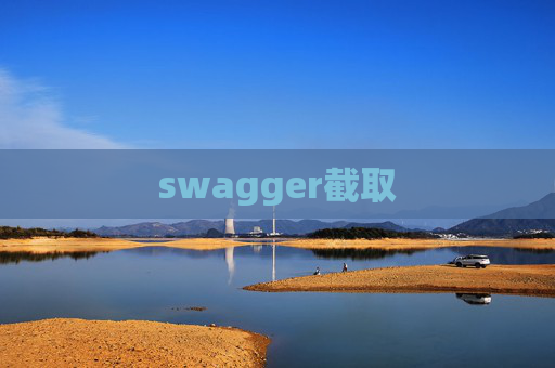 swagger截取